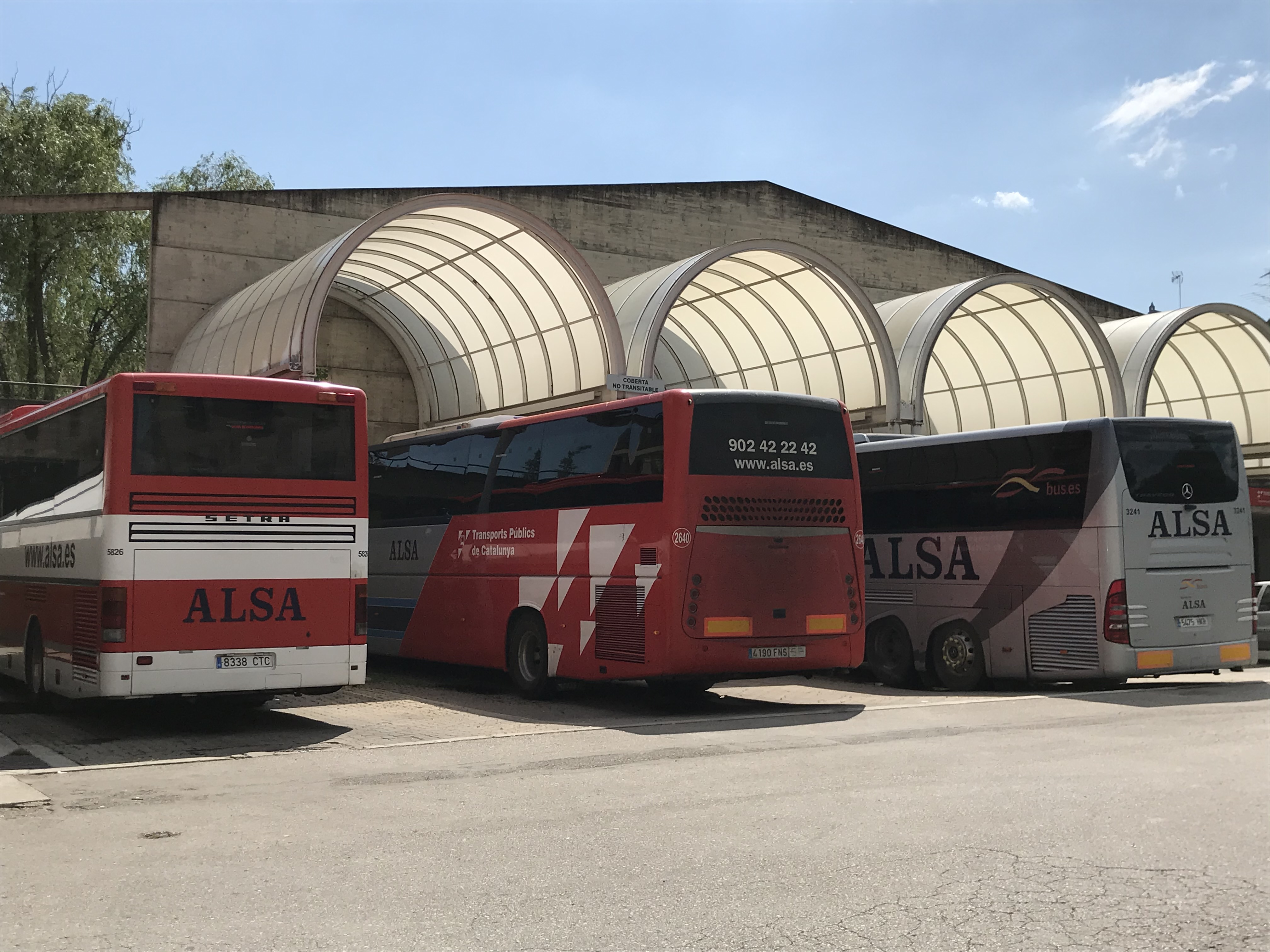 Bus