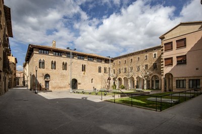 ConsellComarcal_VPallarès ConsellComarcal_VPallarès