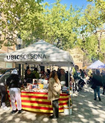 Només al passeig i el portal del Castell es concentraran prop d'una vintena de punts de venda