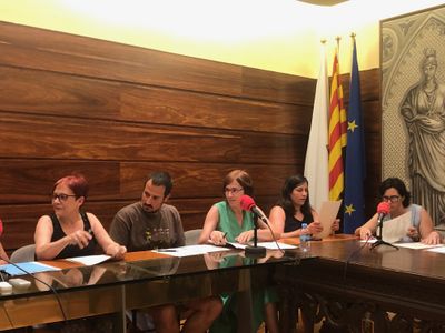 El Ple municipal solsoní aprova les retribucions de l’alcalde i regidors amb el suport de JxS i el PSC