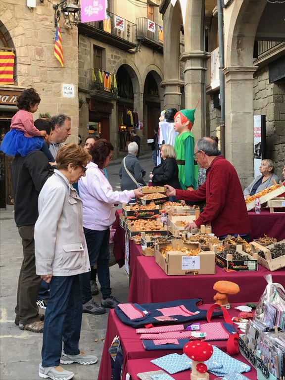 El Solsonès reivindica els bolets i els productes ecològics i artesans amb una Fira de la Terra ampliada