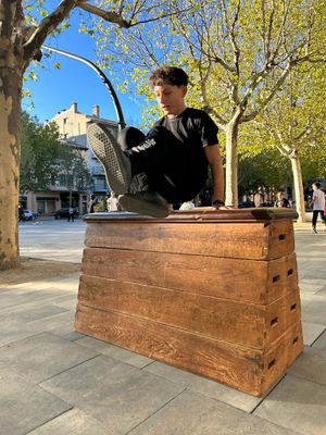 És la segona vegada que es programa aquesta activitat, després de l’experiència de l’octubre passat a la plaça del Camp