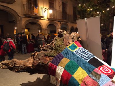 Júlia Arumí i Mariona Bajona guanyen el primer concurs de contes de la Fira del Tió de Solsona