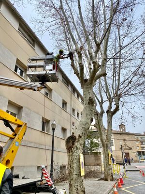 Intervenció de manteniment, el febrer passat davant del Centre Sanitari