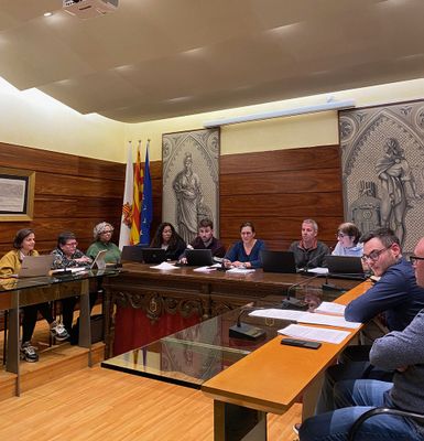 Sessió plenària de març, ahir al vespre