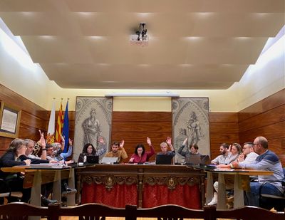 Ple extraordinari, celebrat ahir al vespre