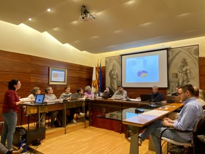 Números aprovats amb el vot de qualitat de l'alcaldessa
