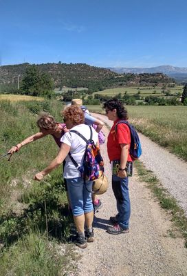 Passejada amb Sàmara durant la darrera Setmana de la Gent Gran