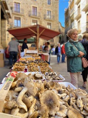 La 5a Fira de la Terra del Solsonès potencia les xerrades tècniques i els tallers de cuina