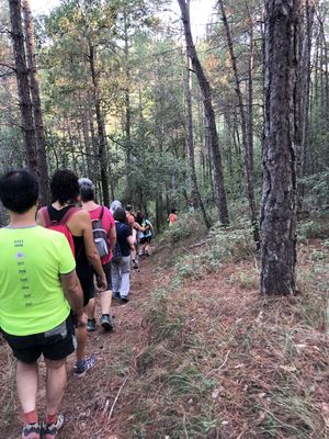 La Caminada popular al Vinyet de Solsona arriba diumenge a la 25a edició  