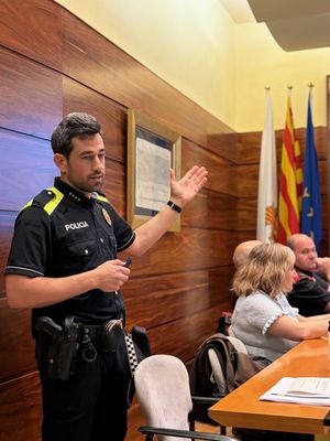 La Junta Local de Seguretat de Solsona constata la bona coordinació entre cossos i dades globals positives