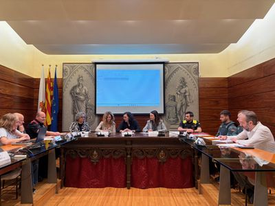 La Junta Local de Seguretat de Solsona constata la bona coordinació entre cossos i dades globals positives