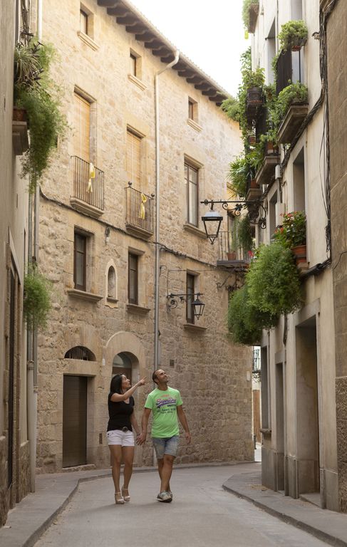 La regidoria de Cultura de Solsona convoca el 34è Concurs de flors als balcons  