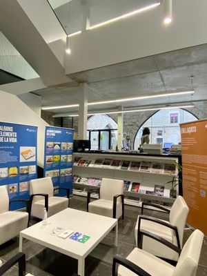 La Taula de Salut Mental del Solsonès sensibilitza la població amb activitats culturals i divulgatives 