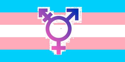 Les institucions solsonines se sumen a la reivindicació de la despatologització trans