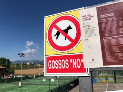 Les pistes de tennis, les úniques instal·lacions esportives a l’aire lliure que obre l’Ajuntament de Solsona