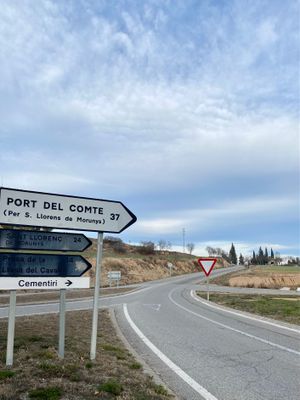 La rotonda està projectada a l'altura de l'Escola El Vinyet 