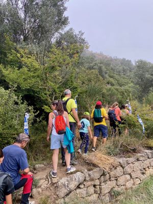 Rècord de participació a la caminada popular de la Festa Major de Solsona amb 520 persones