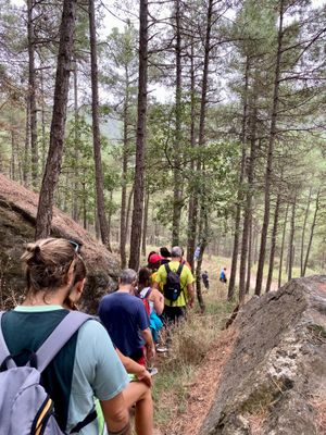 Rècord de participació a la caminada popular de la Festa Major de Solsona amb 520 persones