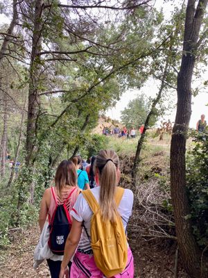 Rècord de participació a la caminada popular de la Festa Major de Solsona amb 520 persones