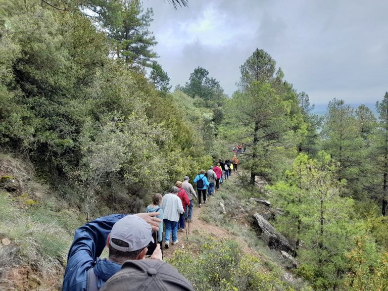 S’obren les inscripcions al curs d’activitats per a la gent gran de Solsona  