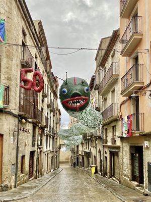 Solsona altera la recollida de residus porta a porta al centre per Carnaval