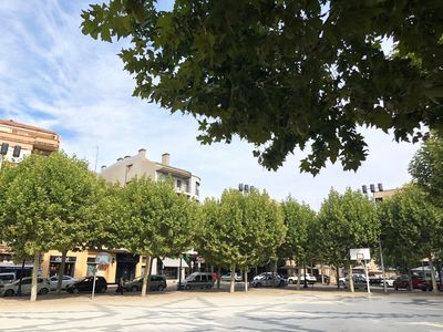 Solsona aplica un tractament fitosanitari a l’arbrat del nucli antic, la zona del Camp i el Vall Calent