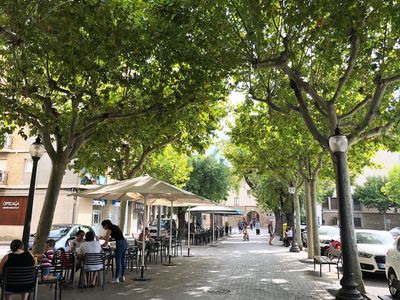 Solsona aplica un tractament fitosanitari a l’arbrat del nucli antic, la zona del Camp i el Vall Calent