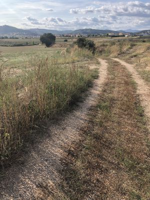 L'itinerari segueix un antic vial de l'inventari de camins 