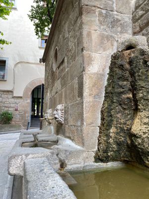 Les fonts ornamentals com les del nucli antic no es poden omplir 