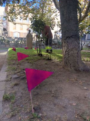 Solsona llança nous missatges sobre els excrements de gos amb l’ajut de banderoles per assenyalar-los