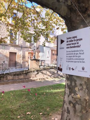 Solsona llança nous missatges sobre els excrements de gos amb l’ajut de banderoles per assenyalar-los