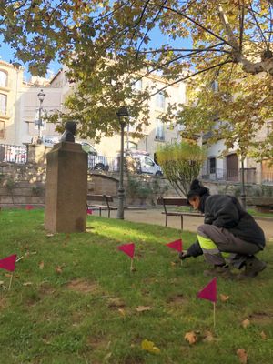 Solsona llança nous missatges sobre els excrements de gos amb l’ajut de banderoles per assenyalar-los