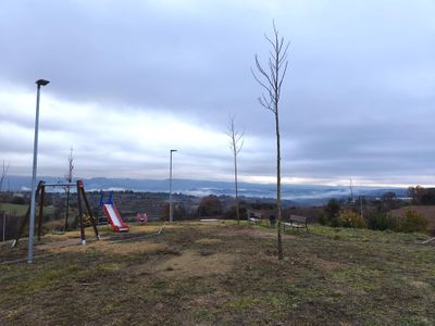 Entre altres indrets, s'han plantat arbres al parc de la Cabana del Silo i a l'aparcament de Setelsis i Arrels II