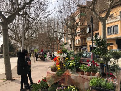 Solsona posa en marxa una nova campanya de promoció del comerç local i el mercat coincidint amb una redistribució de les parades