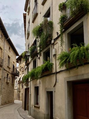 Alguns dels balcons guardonats enguany