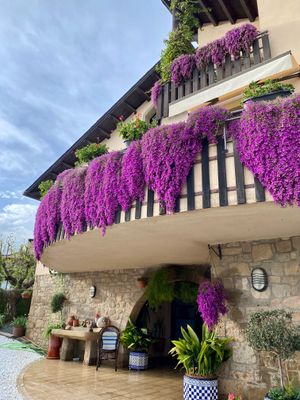 Alguns dels balcons guardonats enguany