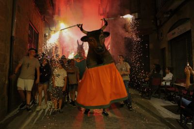 Imatge de la roda de foc de l'any passat (Petits Fotografia)
