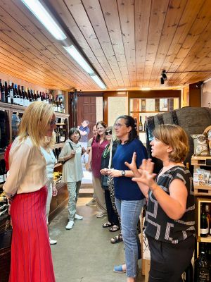 Solsona preveu acollir-se als ajuts d'Urbanisme Comercial Estratègic