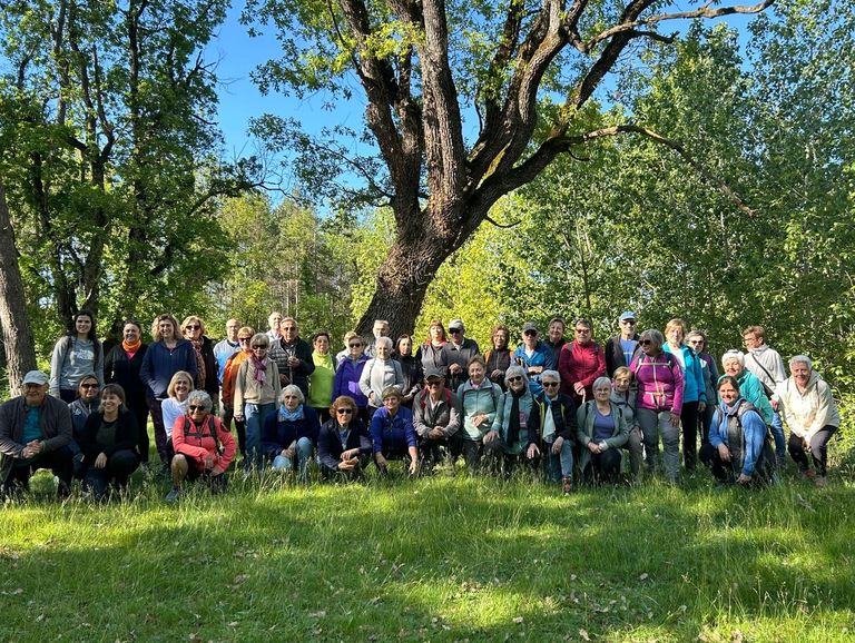 Solsona proposa a la gent gran una vintena d’activitats la darrera setmana de maig