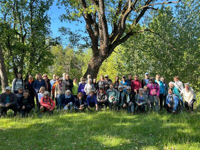 Solsona proposa a la gent gran una vintena d’activitats la darrera setmana de maig