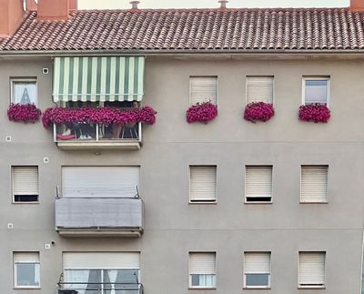 Alguns dels habitatges participants en l'última edició, el 2022