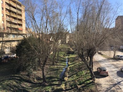 Solsona substituirà i plantarà desenes d’arbres en diferents indrets urbans