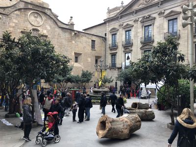 Solsona vol atraure el públic familiar amb la 5a Fira del Tió el 7 de desembre