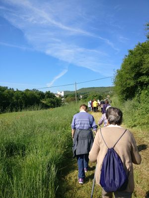 Un col·loqui sobre diferents maneres d’estimar, un joc d’escapisme i exposicions de fotos, entre les novetats de la Setmana de la Gent Gran de Solsona