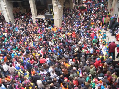 Unanimitat del Ple solsoní en les distincions de Roger Mas i l’Associació de Festes del Carnaval   