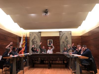 Unanimitat per a les màximes distincions de l’Ajuntament solsoní a Roger Mas i el Carnaval