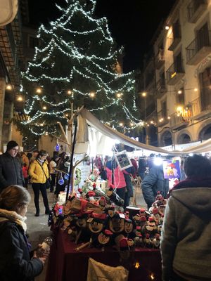 Xifren l’impacte econòmic de la Fira del Tió de Solsona en 147.000 euros